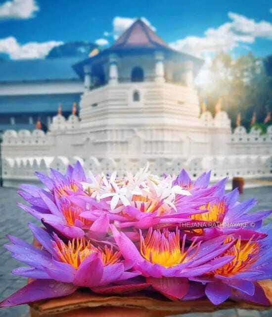 Sigiriya To Kandy Private Transfer: Visit Dambulla Temple - What arrives with you in Kandy