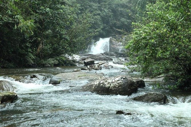 Sinharaja' rainforest - Discovery Tour (half day) - Key points to know before booking