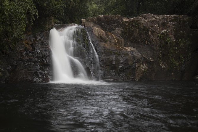 Sinharaja' rainforest - Discovery Tour (half day) - The 7:30 am start at Mederipitiya Dombagoda Road
