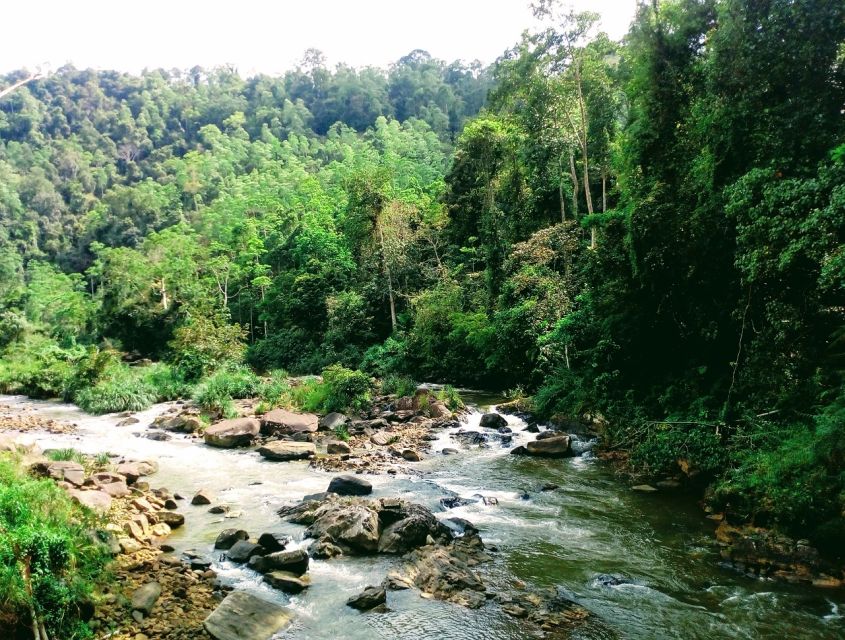 Sinharaja Rainforest Private & Customize Tour - Should you book the Sinharaja private tour?