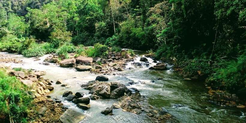 Sinharaja Rainforest Private & Customize Tour - What the $110 price really covers