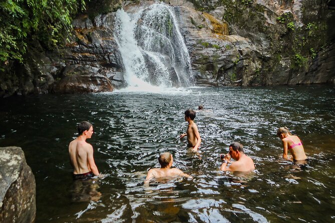 Sinharaja Rainforest Private Half Day Tour with Licensed Guide - Key points at a glance