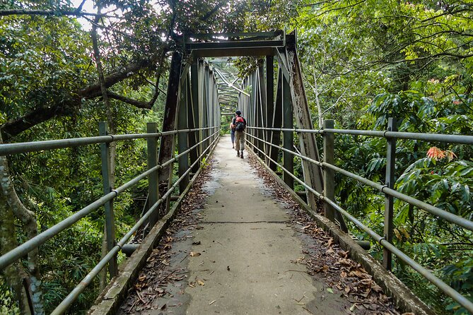 Sinharaja Rainforest Private Half Day Tour with Licensed Guide - Why Sinharaja is worth a morning