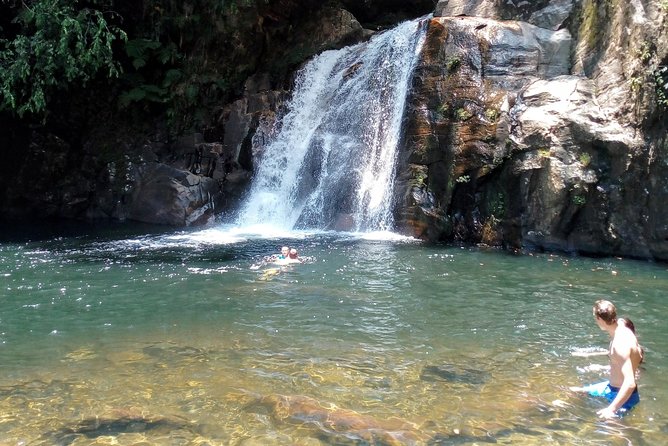 Sinharaja Rainforest Tour - Food and the people who shape the day
