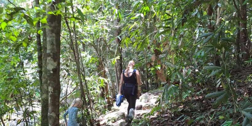 Sinharaja Rainforest Tour - Who will enjoy this Sinharaja outing?