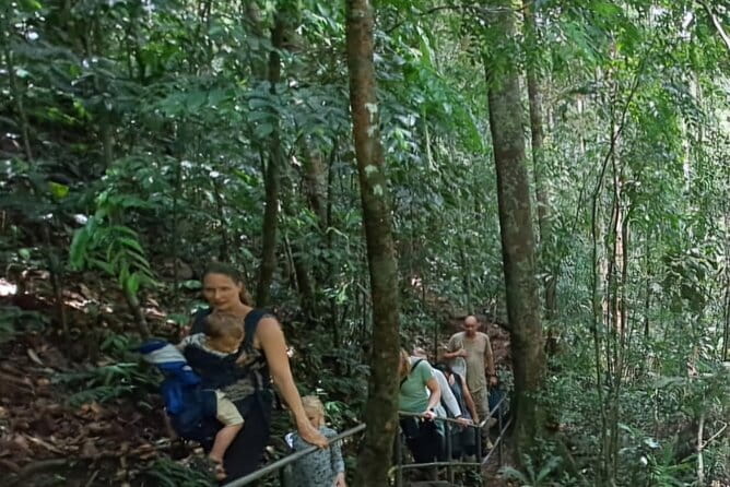 Sinharaja Rainforest Trip - Lunch with forest views