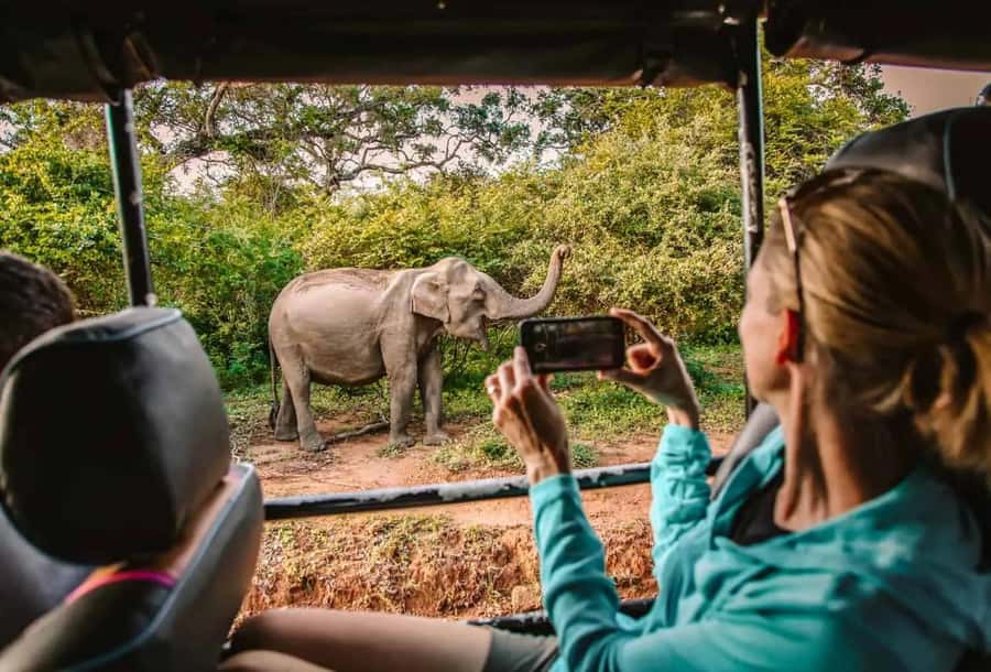 SKIP THE LINE - YALA SAFARI TOUR - Incl. ENTRY TICKETS - Key points before you book