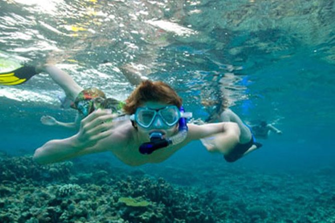 Snorkeling in Unawatuna - What this Unawatuna snorkeling trip is really like
