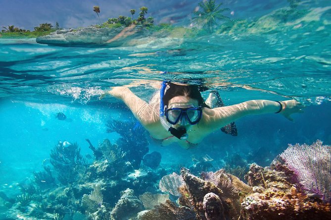 Snorkeling in Unawatuna - The two-hour plan, from beach to boat