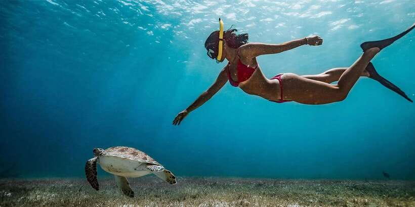 Snorkeling Trip from Polhena Beach, Matara, Sri Lanka - Key points to know before you book