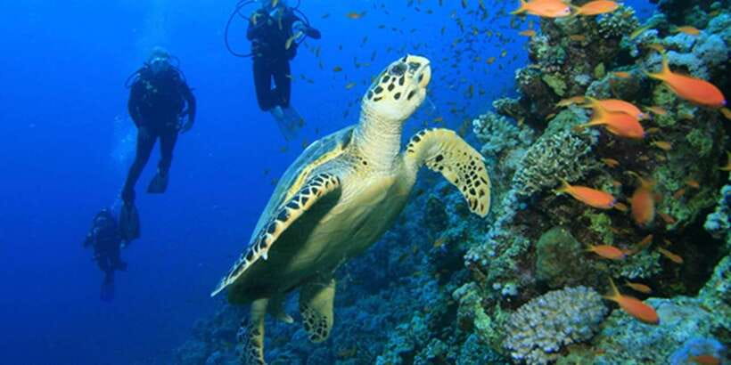 Snorkeling Trip from Polhena Beach, Matara, Sri Lanka - Booking flexibility and practical details