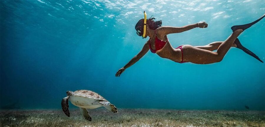 Snorkeling Trip from Polhena Beach, Matara, Sri Lanka - Looking for turtles without chasing them