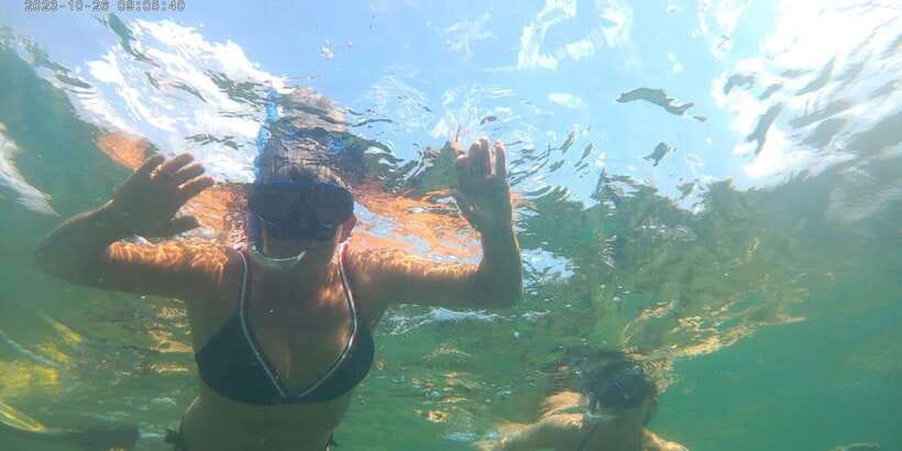 Snorkeling Trip from Polhena Beach, Matara, Sri Lanka - Fish, coral, and shells when turtles stay away