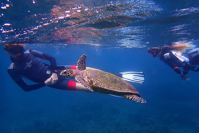 Snorkeling Trip to Pigeon Island - Timing your afternoon at Pigeon Island