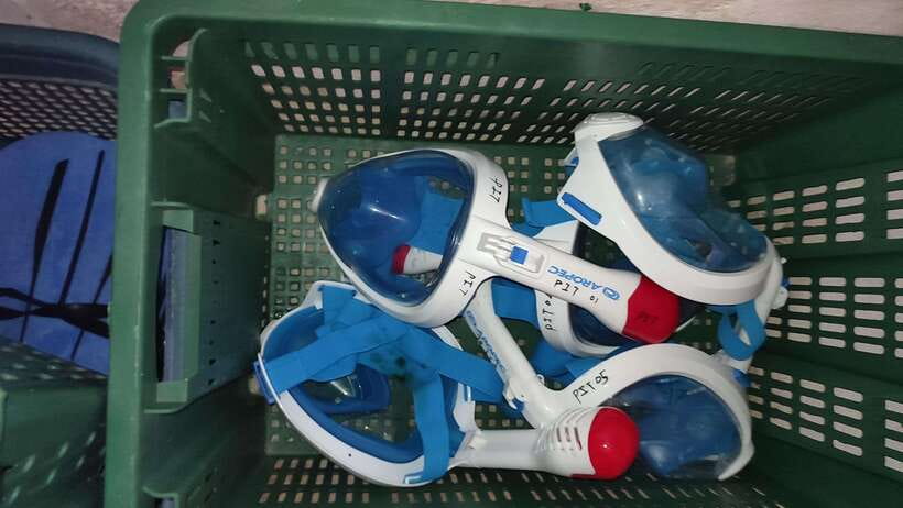 Snorkeling Trip To Pigeon Island - Best time to go and how to improve the day