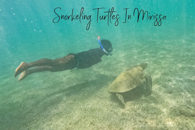 Snorkeling with Turtles in Mirissa - A private hour with turtles, fish, and coral