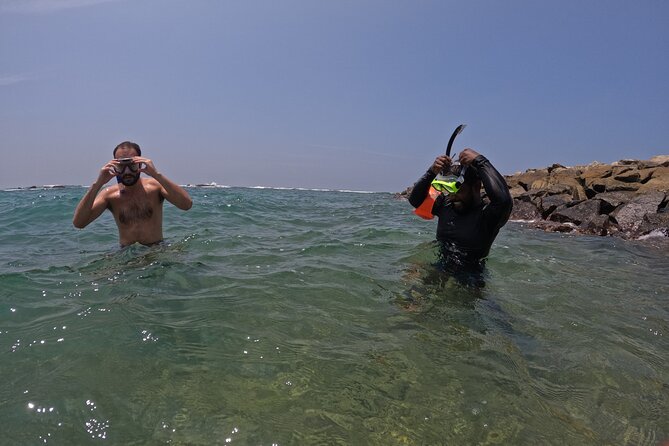 Snorkeling with Turtles in Mirissa - Underwater photos and videos add real value