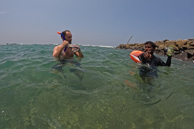Snorkeling with Turtles in Mirissa - Who should book this Mirissa snorkeling tour?