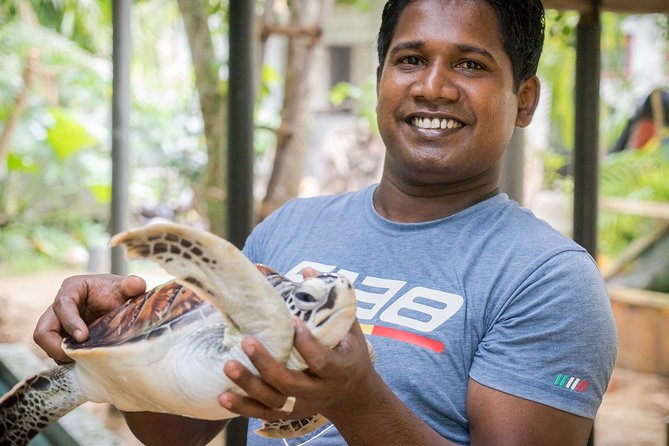 Southern Sri Lanka Sightseeing Day Trip From Colombo & Negombo - Kosgoda Turtle Conservation: A Meaningful Stop to Handle Carefully