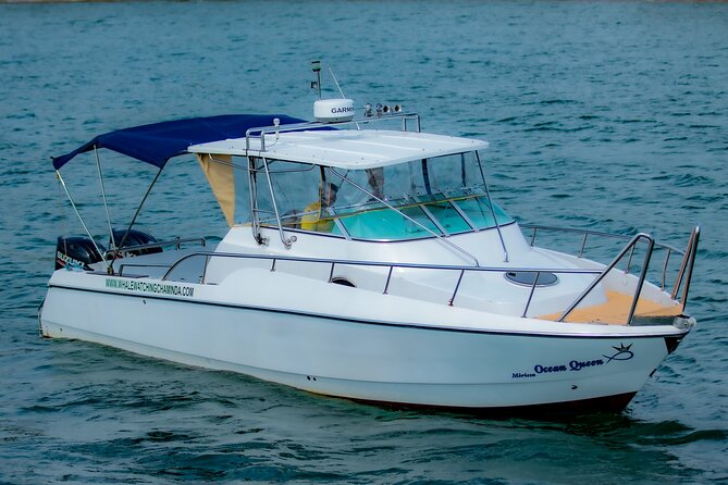 Sports Boat- Private Whale Watching Trip( free breakfast & paid pick-up) - Key points to know before you book