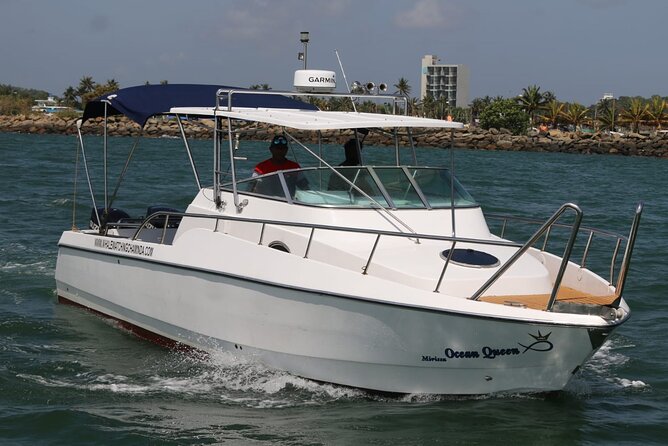 Sports Boat- Private Whale Watching Trip( free breakfast & paid pick-up) - Why the private sports boat changes the experience