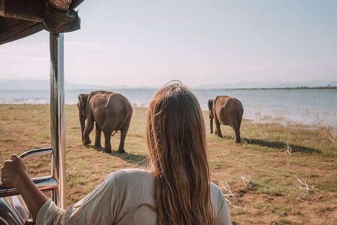 Sri Lanka 03 night 04 days budget tour package - Who will enjoy this four-day route