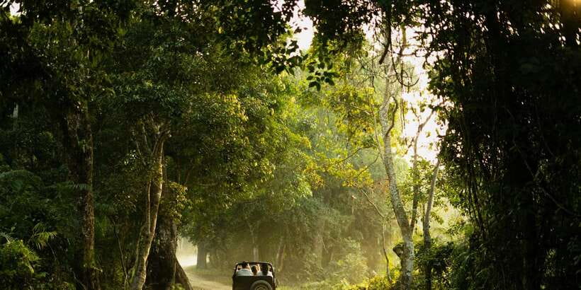 Sri Lanka: 2-Day wildlife tour; rainforest and National park - What the $350 price really covers