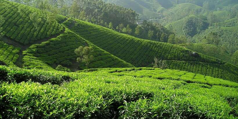Sri Lanka: 2-Day wildlife tour; rainforest and National park - Who should book this two-day wildlife route?