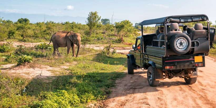 Sri Lanka: 2-Day wildlife tour; rainforest and National park - Practical verdict: a strong sampler with a rushed middle