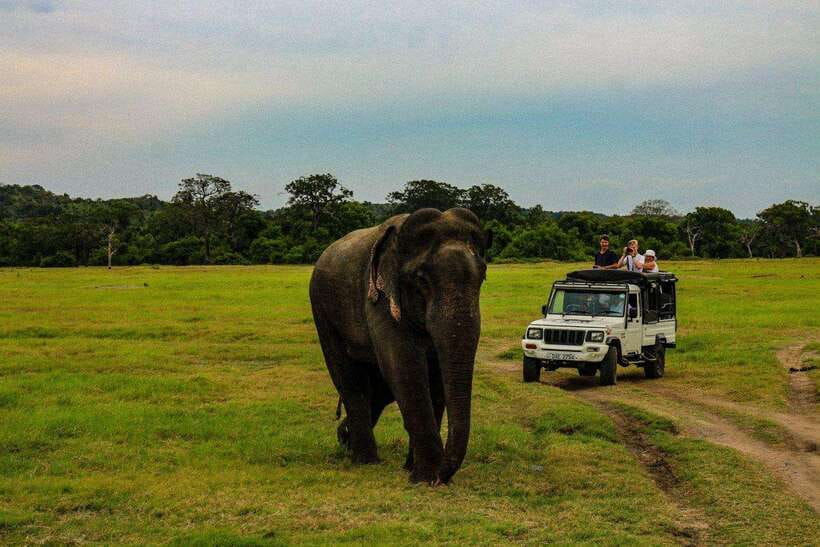 Sri Lanka: 4N5Day guided FULL TOUR with hotel accommodations - Day two: village life, elephants, and a cultural show