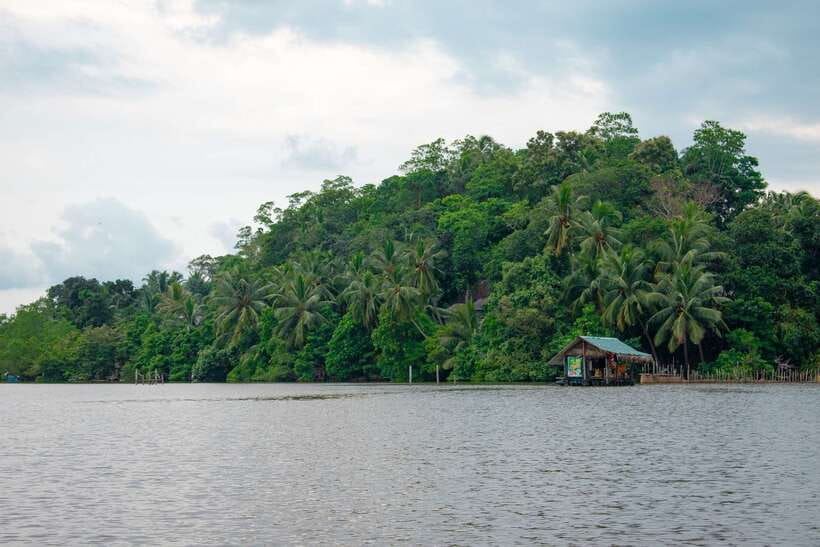 Sri Lanka Bentota: Private Mangrove Lagoon and River Cruise - Price, value, and what is not included