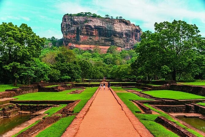 Sri Lanka Customize Multiple day tour packege - Day 6: Yala safari followed by a beach day in Mirissa
