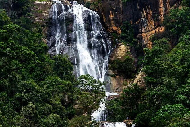 Sri Lanka Ella Private Day Tour Nine Arch & Elephant transit home - Udawalawa Elephant Transit Home in 40 minutes