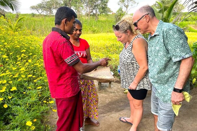 Sri Lanka in 06 Days - Day 2: Dambulla, village life, and Minneriya elephants