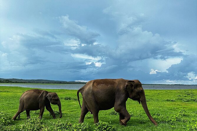 Sri Lanka Personal Tour Driver in private vehicle - Sigiriya, Dambulla, and Pidurangala