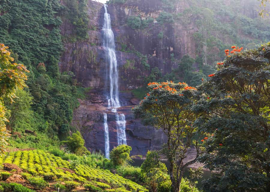 Sri Lanka Private 2-day Tour:Train Trip, Kandy, Nuwara Eliya - The blue train through Sri Lanka’s hill country