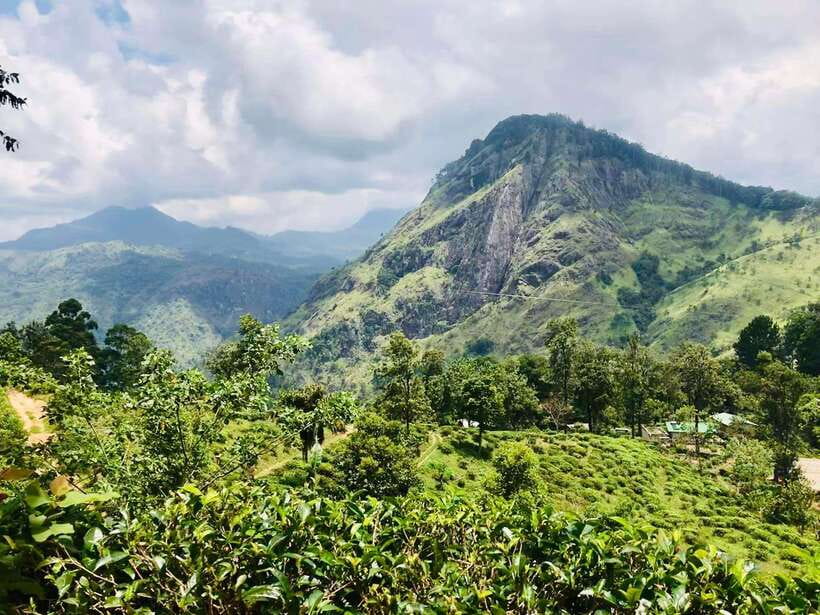 Sri Lanka Private 3-nights Tour Transport, Guide, Hotels - Key points at a glance