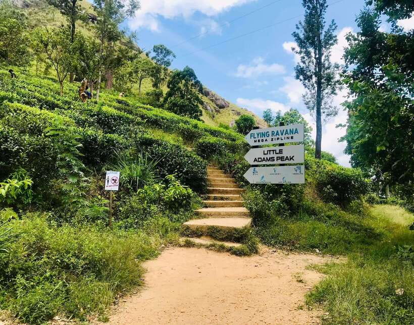 Sri Lanka Private 3-nights Tour Transport, Guide, Hotels - Day 2: Sigiriya, Dambulla, and a Minneriya safari
