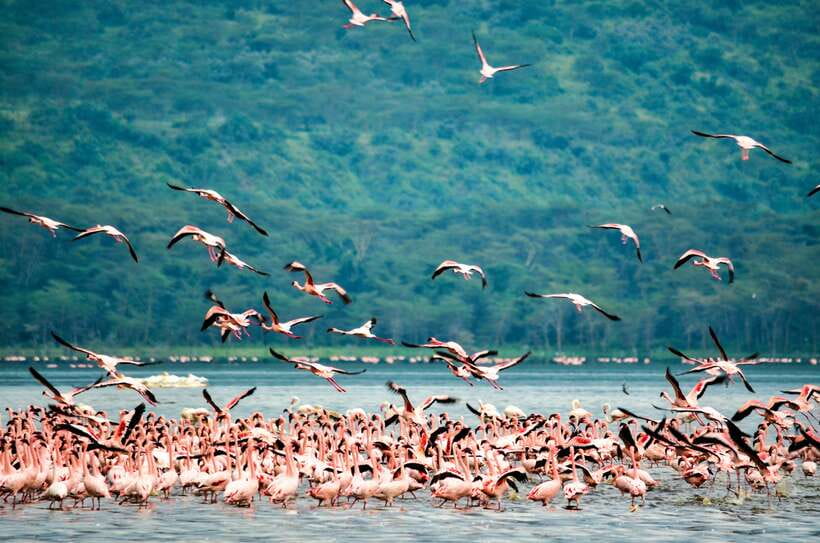Sri Lanka Private 3-nights Tour Transport, Guide, Hotels - Day 4: Mirissa, Galle Fort, Bentota, and Colombo