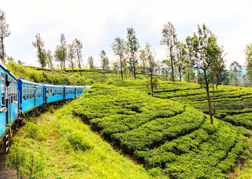 Sri Lanka Private 3-nights Tour Transport, Guide, Hotels - What the private format really gives you