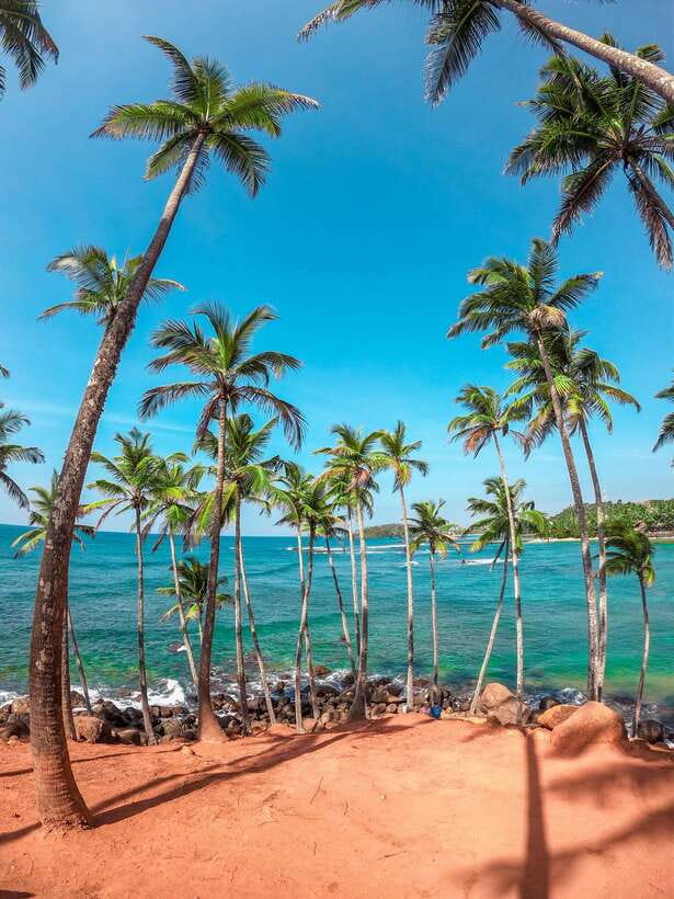 Sri Lanka Private 8-day Tour; Transport, Guide, Hotels, Food - Key points to know before booking