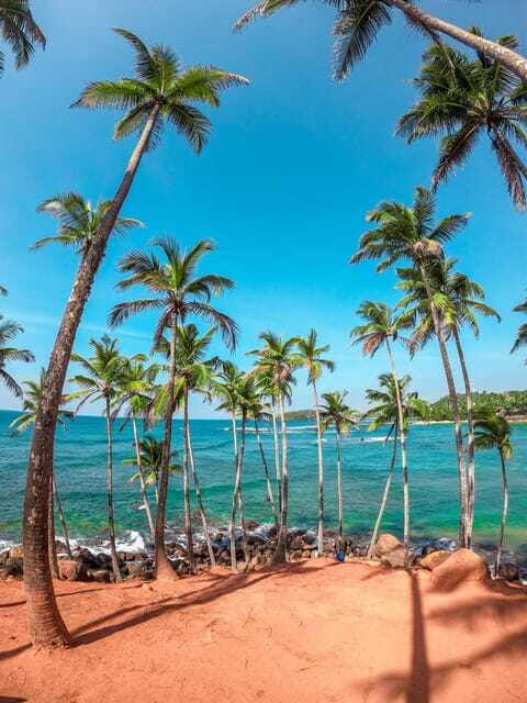 Sri Lanka Private 8-day Tour; Transport, Guide, Hotels, Food - Day 7: Yala safari, then the coast