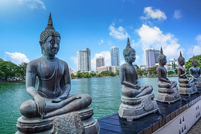 Sri Lanka Private car charter with driver and fuel. - What the drivers add to the experience