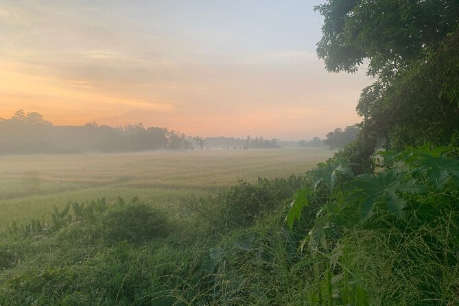 Sri Lanka - Private Ratnapura Gem Tour with Gem and jewelry Expert - Why this day trip is different from a jewelry-shop visit