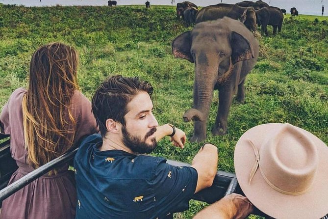 Sri Lanka private tour package 9 night 10 Day with driver+vehicle+accommodations - Day 6: Royal Botanical Gardens and Nuwara Eliya tea country