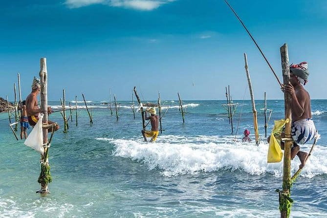 Sri Lanka Round Tour with English Speaking Driver Guide and Car - Sightseeing without a fixed list of stops