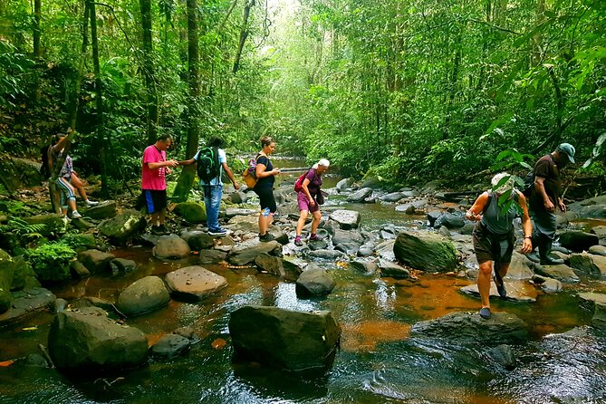 Sri Lanka Sinharaja Rain Forest Tour with Transport - Key points at a glance
