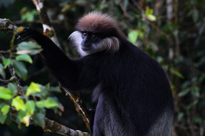 Sri Lanka Sinharaja Rain Forest Tour with Transport - Why Sinharaja makes this trip worthwhile