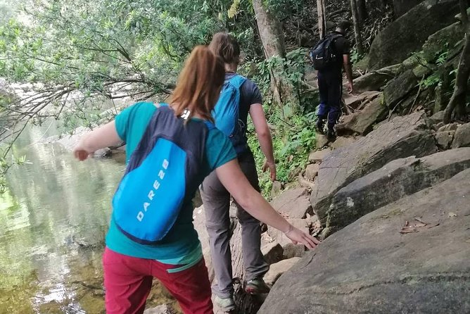 Sri Lanka Sinharaja Rain Forest Tour with Transport - What the guide adds