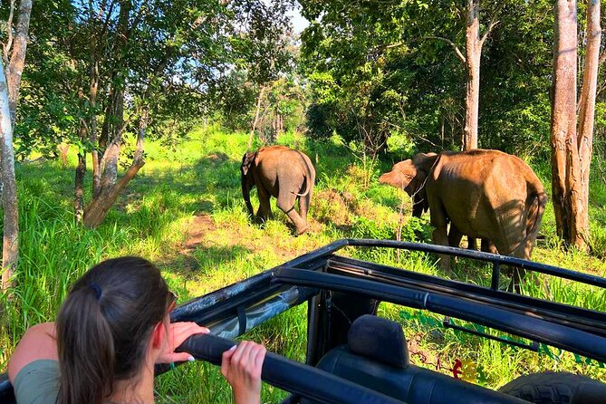 Sri Lanka Tour 06 Nights 07 Days with Hotels & Transport - What this seven-day Sri Lanka route does well